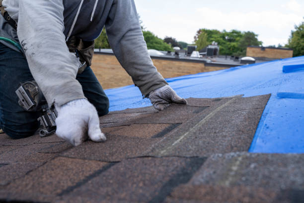 Best Roof Gutter Cleaning  in Glens Falls, NY